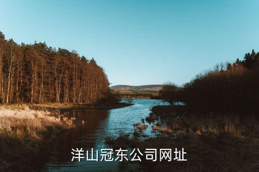 洋山冠東公司網址