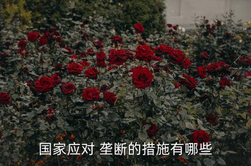 這是中國(guó)反壟斷調(diào)查以來
