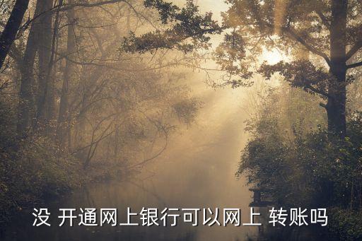 沒 開通網(wǎng)上銀行可以網(wǎng)上 轉賬嗎