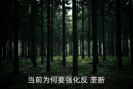 當(dāng)前為何要強化反 壟斷