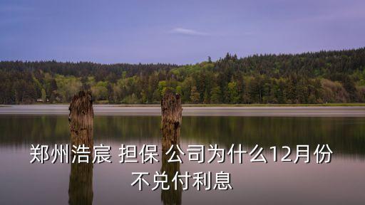 鄭州浩宸 擔保 公司為什么12月份不兌付利息