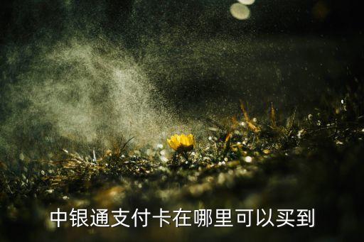 中銀通支付卡在哪里可以買(mǎi)到