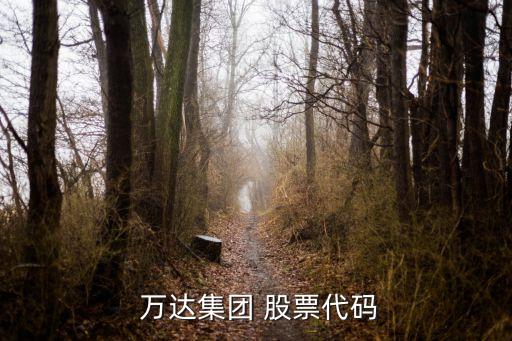 萬(wàn)達(dá)有什么股票,萬(wàn)達(dá)股票多少錢(qián)一股
