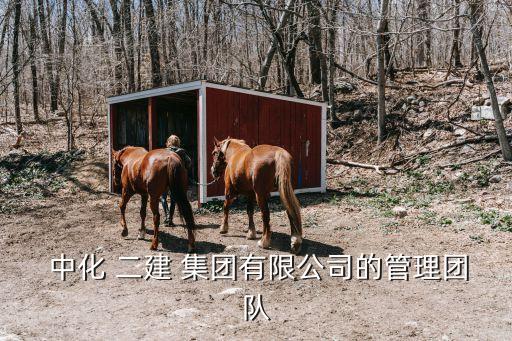 中化二建集團(tuán)報表,應(yīng)屆大學(xué)生去中化二建集團(tuán)好不好