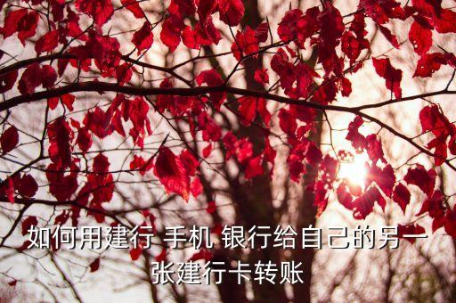 建設手機銀行轉(zhuǎn)建設銀行怎么轉(zhuǎn),建設銀手機銀行
