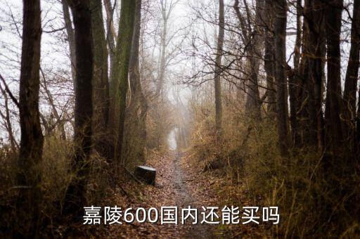  嘉陵600國(guó)內(nèi)還能買(mǎi)嗎