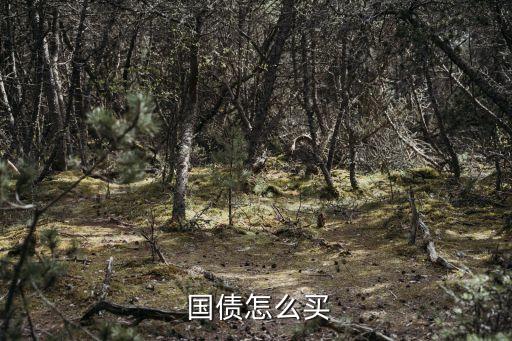  國(guó)債怎么買
