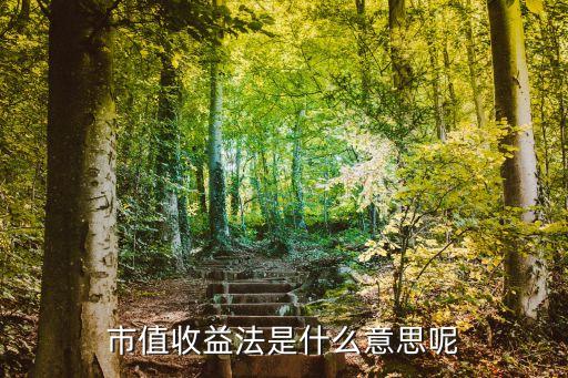 基金停牌股票估值方法,基金公司對股票進行估值調整的部門是