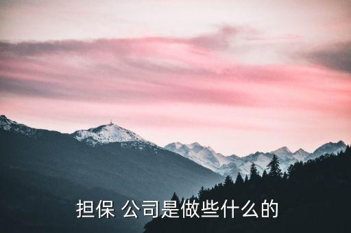  擔保 公司是做些什么的
