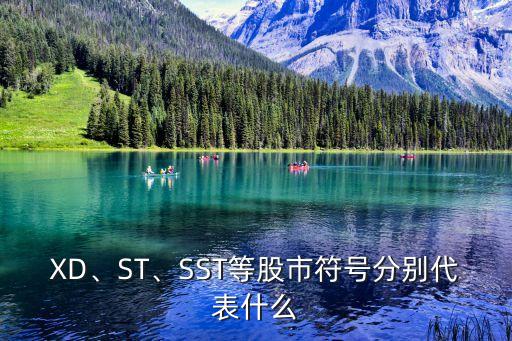 XD、ST、SST等股市符號分別代表什么