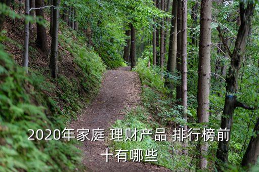 2020年家庭 理財產品 排行榜前十有哪些