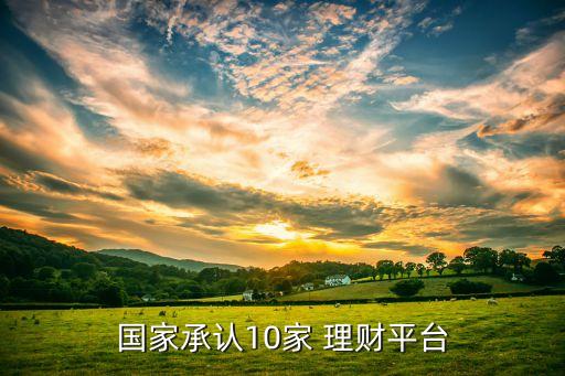 國家承認(rèn)10家 理財平臺