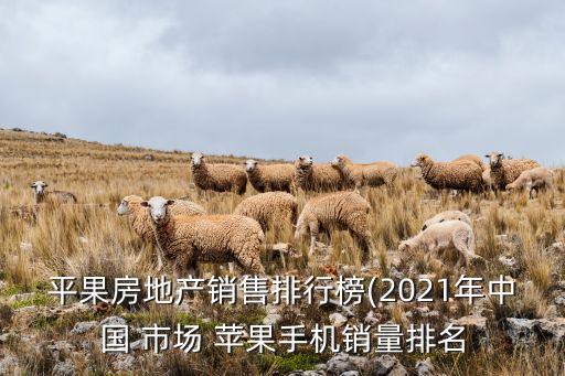 蘋果與中國市場(chǎng),蘋果中國市場(chǎng)占有率2022