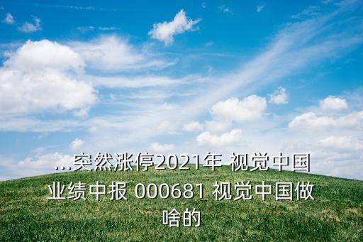 ...突然漲停2021年 視覺中國業(yè)績(jī)中報(bào) 000681 視覺中國做啥的