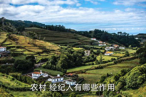 農村 經紀人有哪些作用