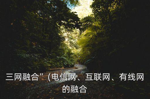 三網(wǎng)融合”(電信網(wǎng)、互聯(lián)網(wǎng)、有線網(wǎng)的融合