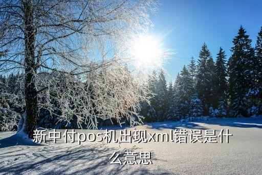  新中付pos機出現xml錯誤是什么意思