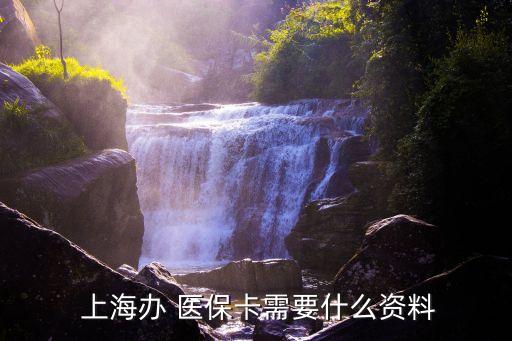  上海辦 醫(yī)?？ㄐ枰裁促Y料