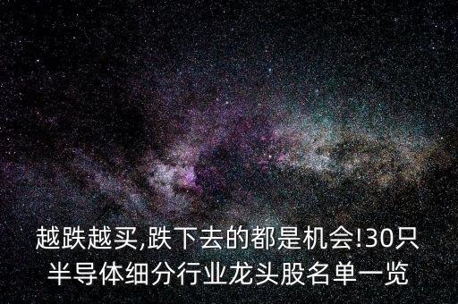 越跌越買,跌下去的都是機會!30只半導(dǎo)體細(xì)分行業(yè)龍頭股名單一覽
