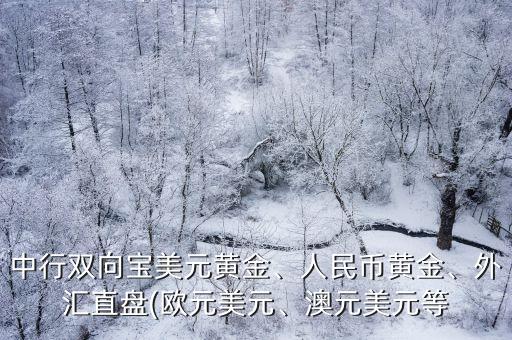 中行雙向?qū)毭涝S金、人民幣黃金、外匯直盤(歐元美元、澳元美元等