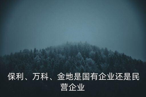  保利、萬科、金地是國有企業(yè)還是民營企業(yè)