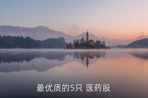 最優(yōu)質的5只 醫(yī)藥股