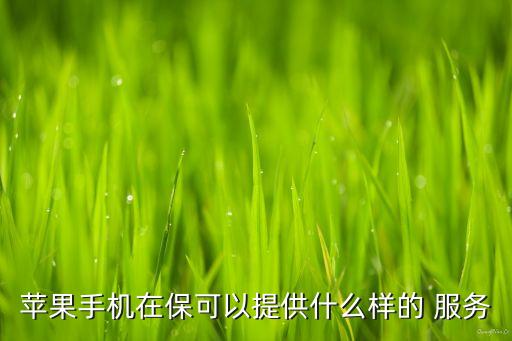 蘋果手機(jī)在?？梢蕴峁┦裁礃拥?服務(wù)