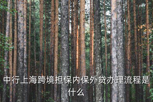 中行上?？缇硴缺Ｍ赓J辦理流程是什么