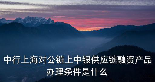 中行上海對公鏈上中銀供應鏈融資產品辦理條件是什么
