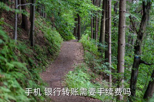  手機 銀行轉賬需要手續(xù)費嗎