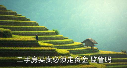  二手房買(mǎi)賣(mài)必須走資金 監(jiān)管嗎