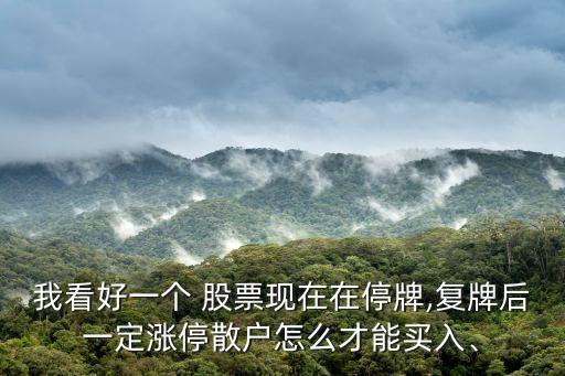 我看好一個(gè) 股票現(xiàn)在在停牌,復(fù)牌后一定漲停散戶怎么才能買入、