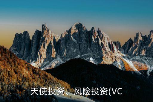 天使投資、風(fēng)險投資(VC