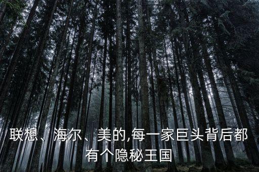 聯(lián)想、海爾、美的,每一家巨頭背后都有個隱秘王國