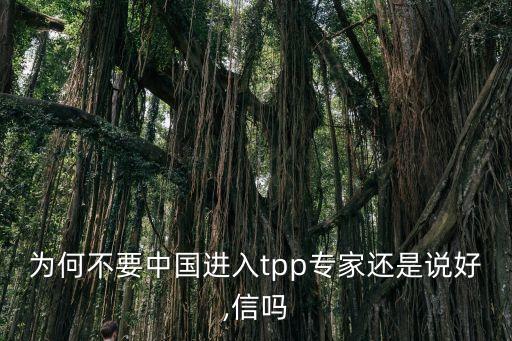 為何不要中國(guó)進(jìn)入tpp專(zhuān)家還是說(shuō)好,信嗎