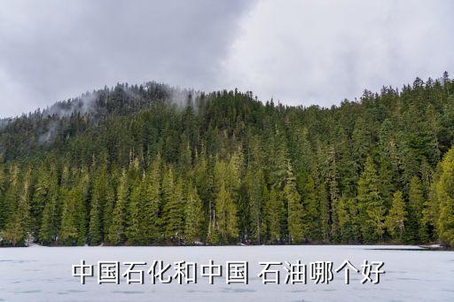 石油開(kāi)采類(lèi)的龍頭公司,開(kāi)采石油游戲