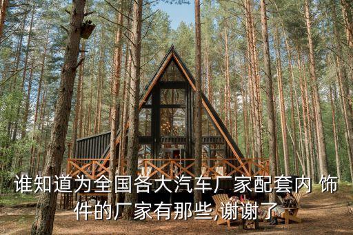 誰知道為全國各大汽車廠家配套內 飾件的廠家有那些,謝謝了