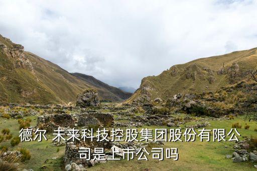 德爾未來(lái)投資義騰