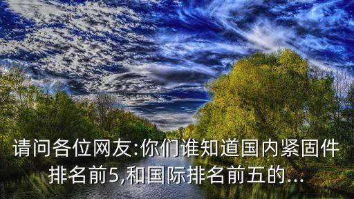請(qǐng)問各位網(wǎng)友:你們誰知道國(guó)內(nèi)緊固件排名前5,和國(guó)際排名前五的...