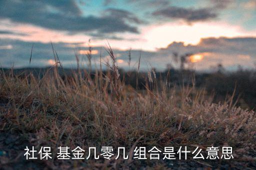 全國社保基金106組合,社?；?06組合牛不牛