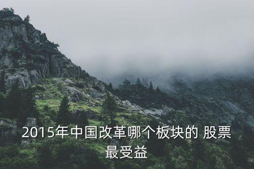 2015年中國改革哪個(gè)板塊的 股票最受益