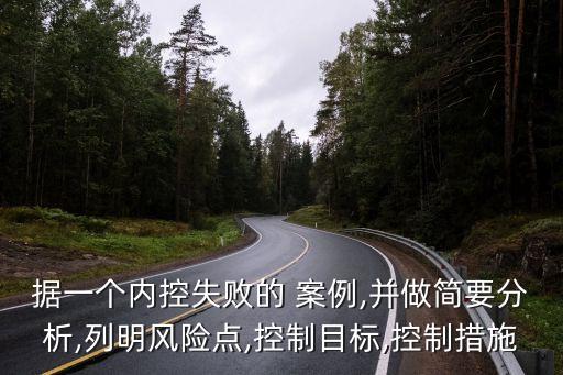 據一個內控失敗的 案例,并做簡要分析,列明風險點,控制目標,控制措施