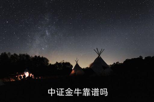  中證金?？孔V嗎