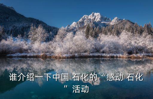 誰(shuí)介紹一下中國(guó) 石化的“感動(dòng) 石化”活動(dòng)