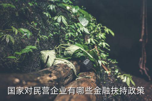 政府性擔(dān)?；?政府創(chuàng)業(yè)擔(dān)保基金是國(guó)家的嗎