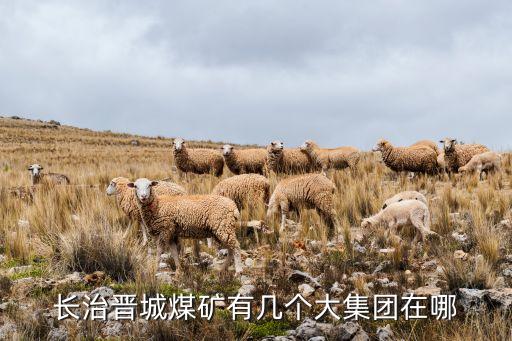 長(zhǎng)治晉城煤礦有幾個(gè)大集團(tuán)在哪