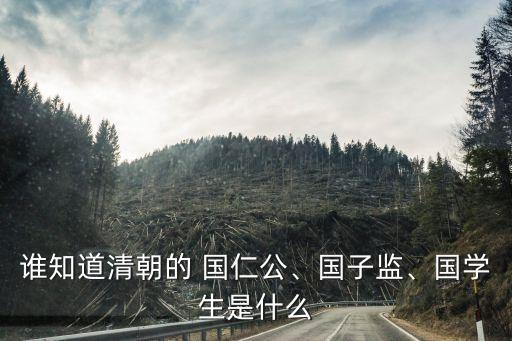 誰知道清朝的 國仁公、國子監(jiān)、國學(xué)生是什么