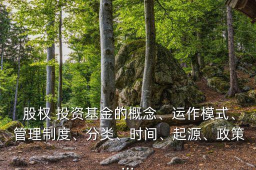  股權(quán) 投資基金的概念、運(yùn)作模式、 管理制度、分類、時間、起源、政策...