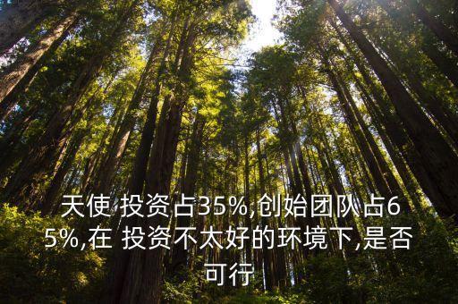  天使 投資占35%,創(chuàng)始團(tuán)隊占65%,在 投資不太好的環(huán)境下,是否可行
