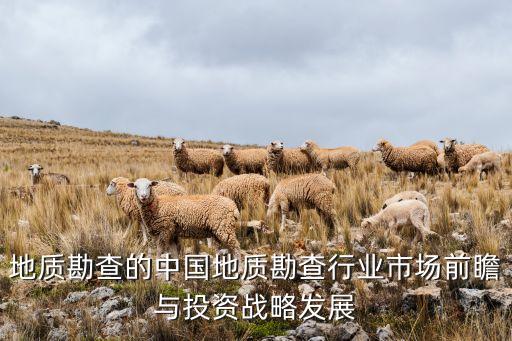 地質勘查的中國地質勘查行業(yè)市場前瞻與投資戰(zhàn)略發(fā)展